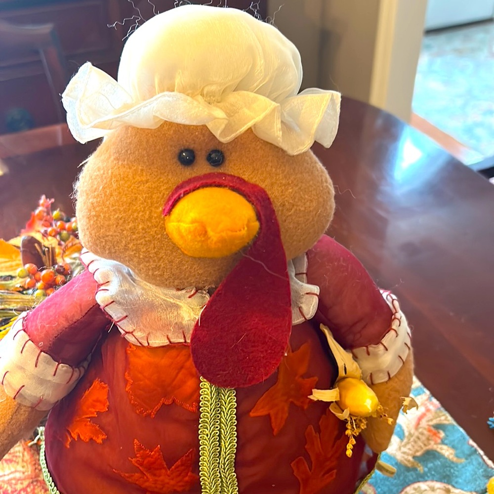 Mrs. Thanksgiving Turkey 🦃🦃 - Picture 7 of 7
